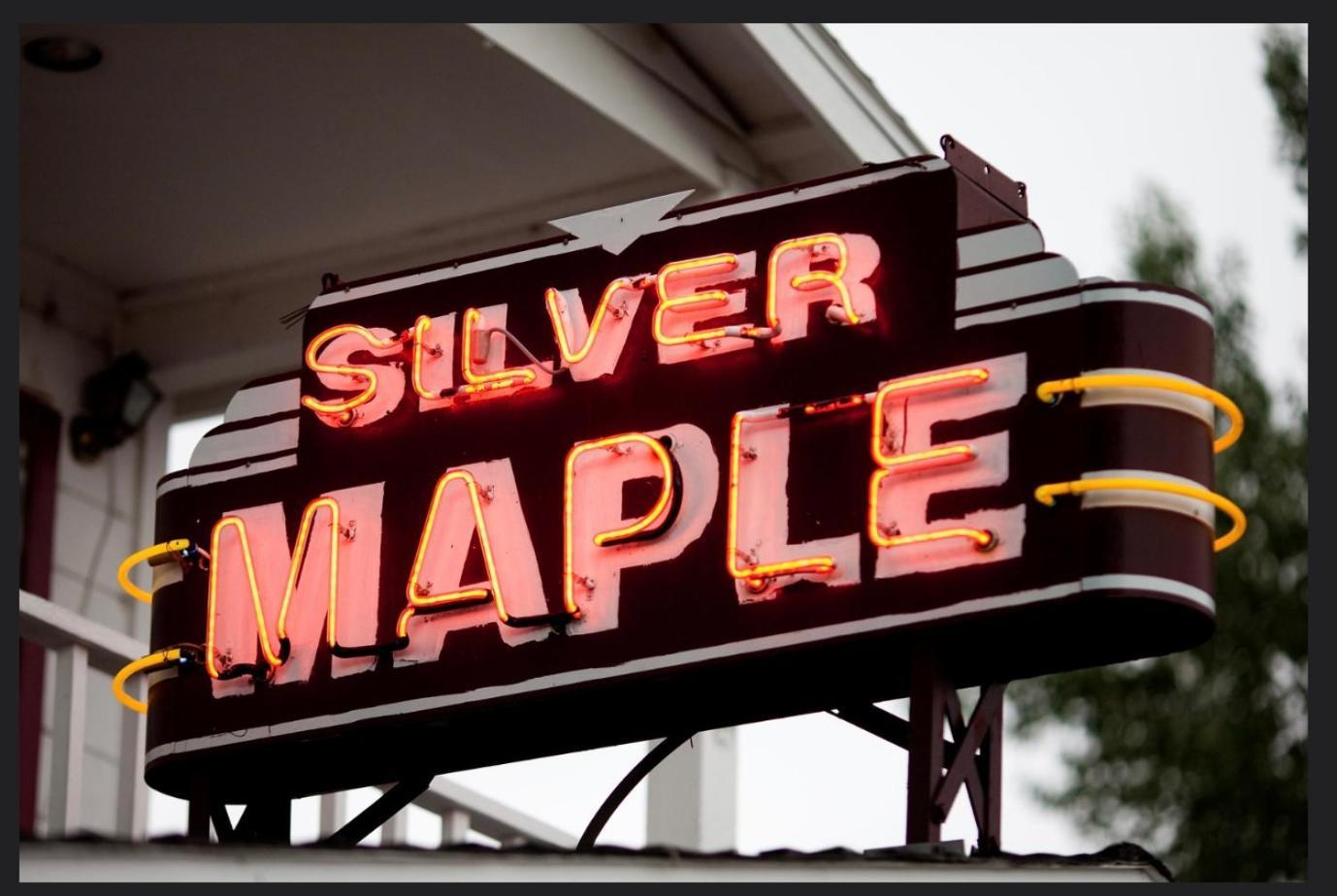 Silver Maple Bridgeport