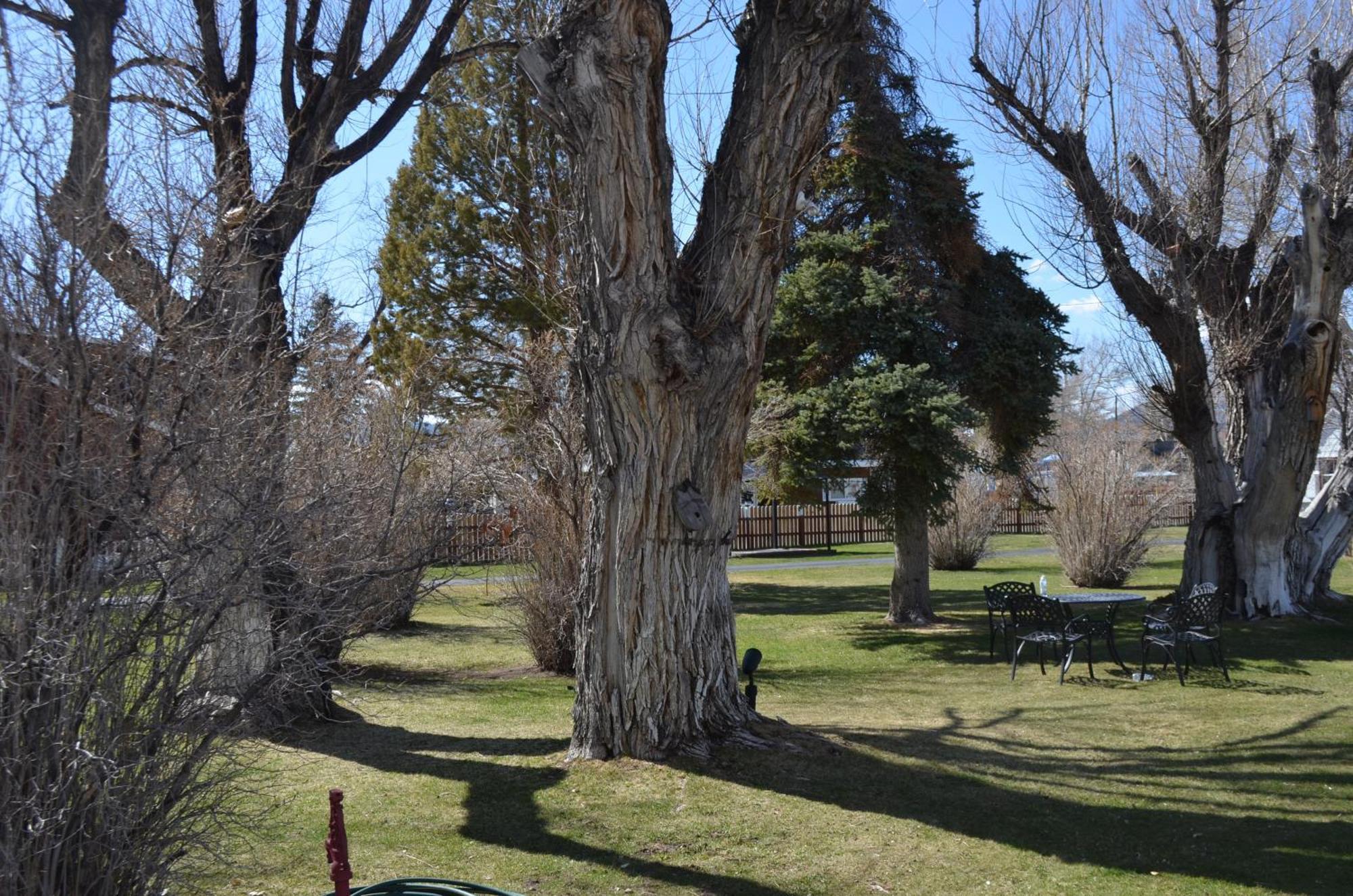 Silver Maple Locanda 2*