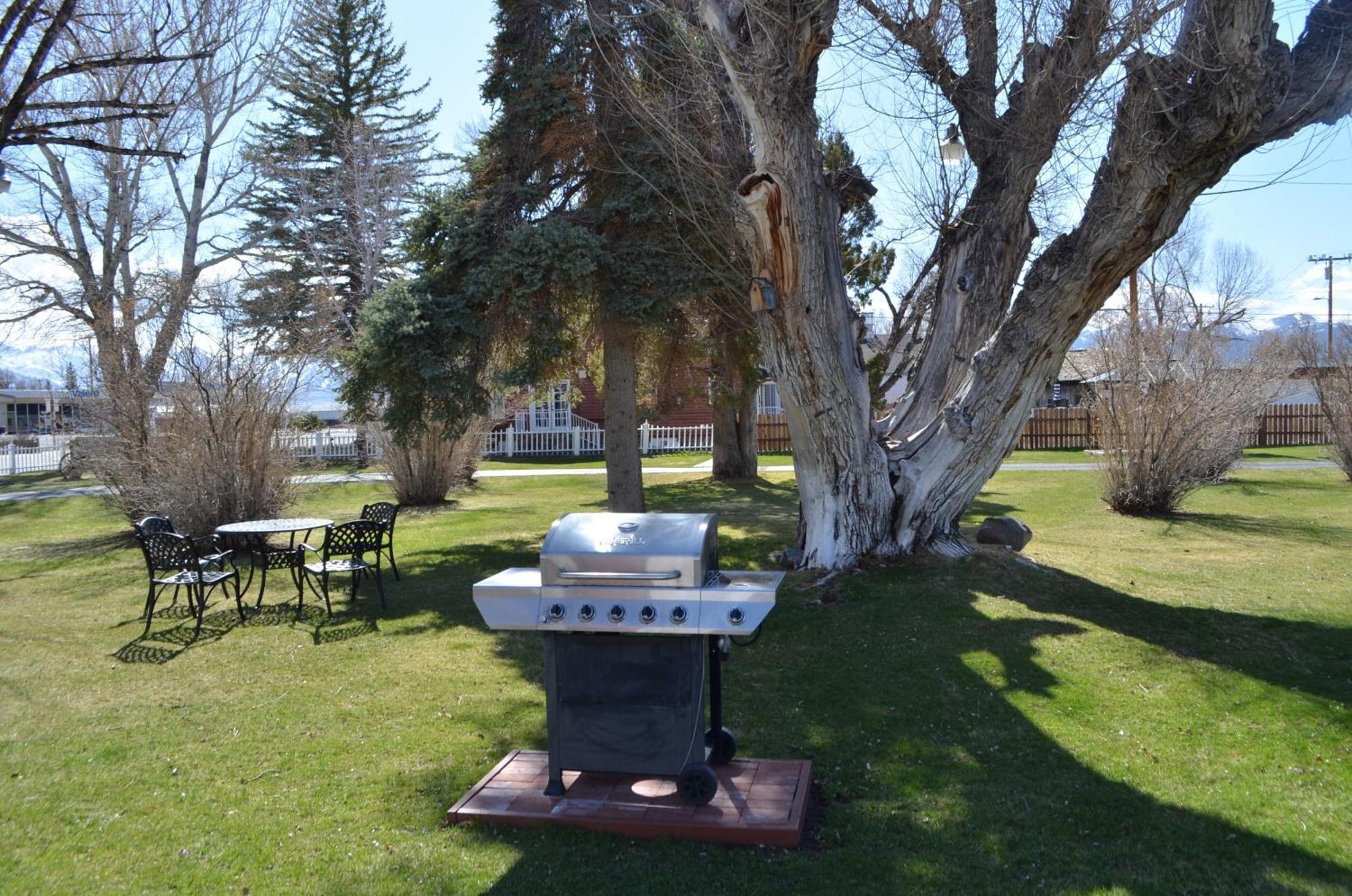 Locanda Silver Maple Bridgeport